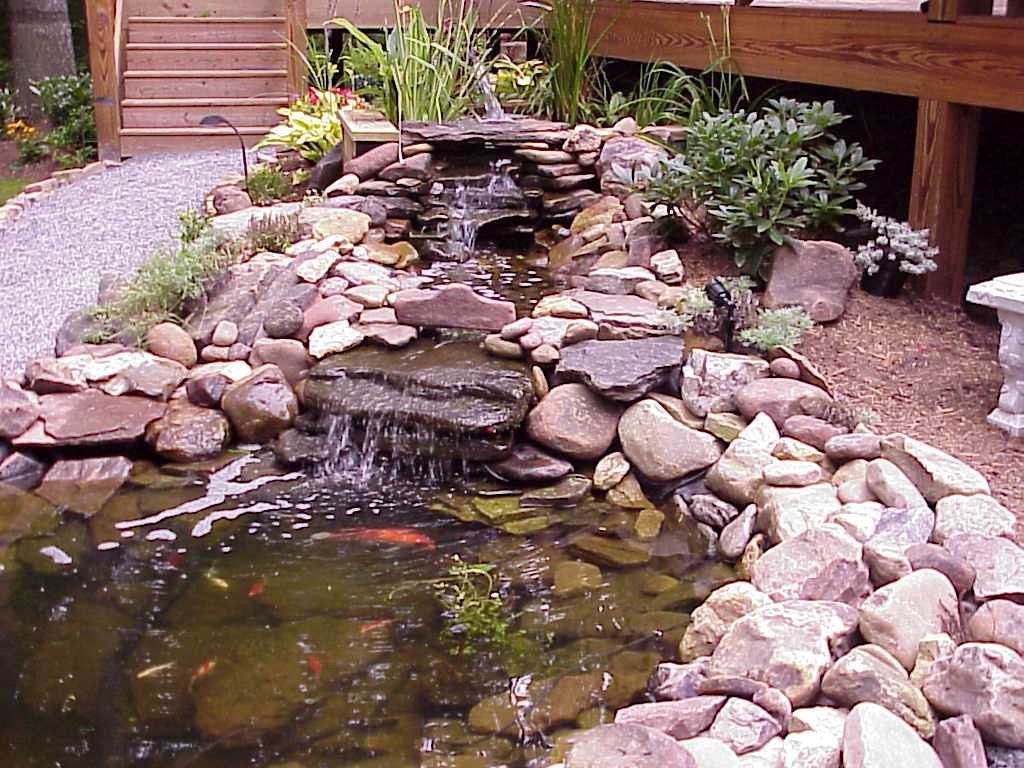 Garden Pond Ideas