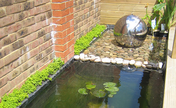 Ben's Garden
