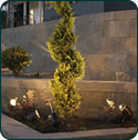 Garden Lighting